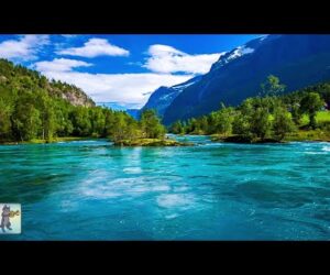 3 Hours of Amazing Nature Scenery & Relaxing Music for Stress Relief.