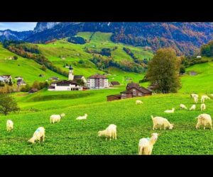 Switzerland countryside life - Relaxing walk in Switzerland's most beautiful villages