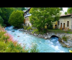 تأمل في جمال الطبيعة واستمع لأصوات الطيور و الانهار لتهدئة النفس | Amazing Nature Scenery