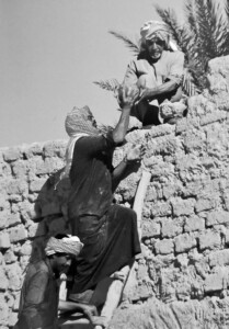 اختبار الطوب